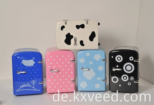 12 V 110V-220V Mini-Kühlschrank thermoelektrischer Kühler und wärmerer Kühlschrank 4L Kühlschrankkühler